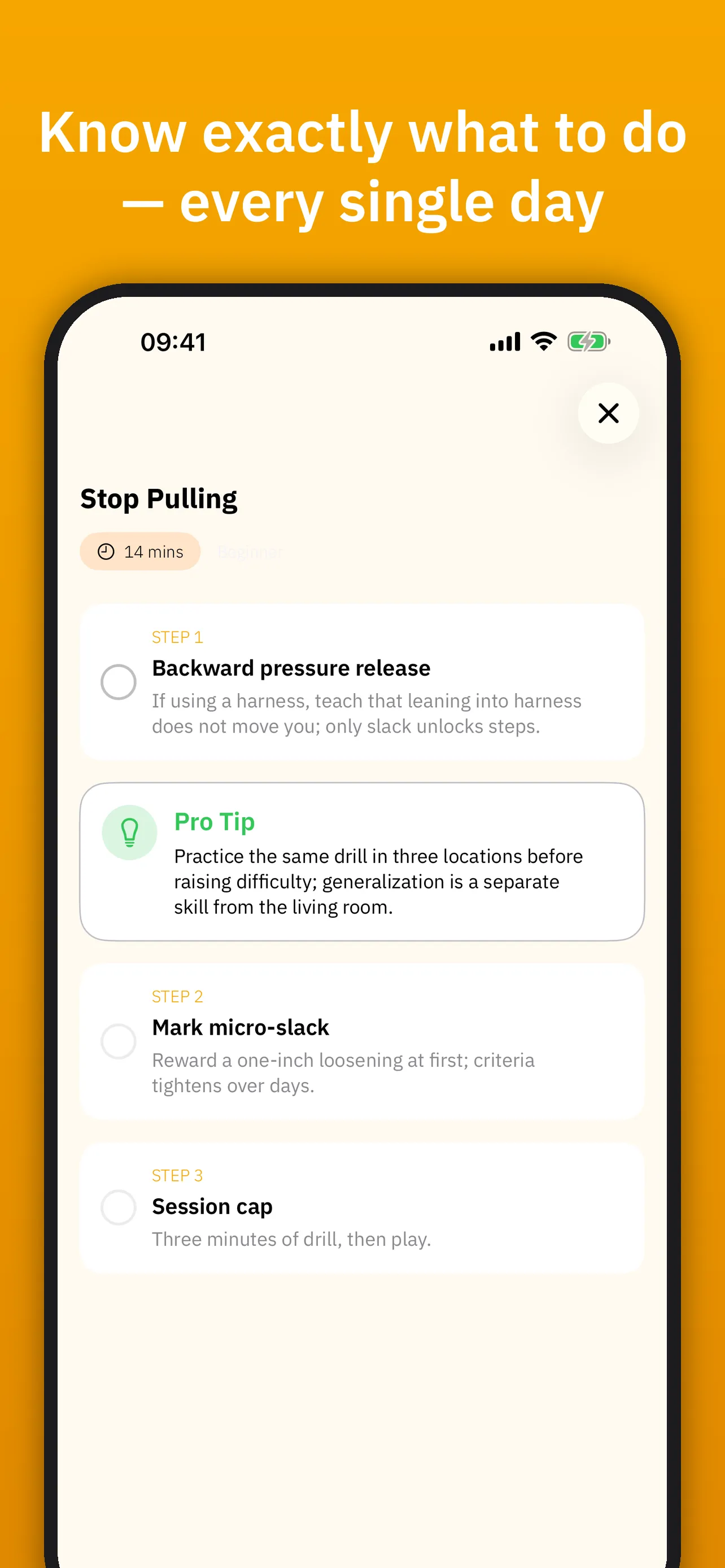A GoPuppy lesson broken into numbered training steps