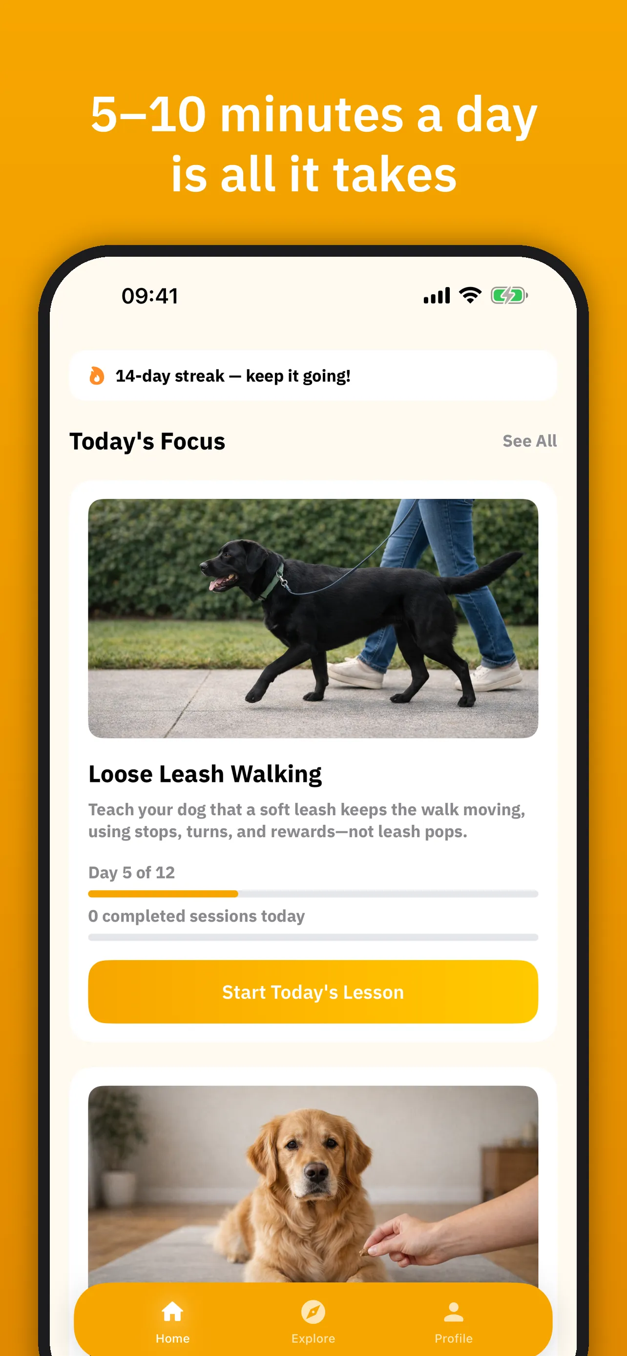 Today's training session on the GoPuppy home screen